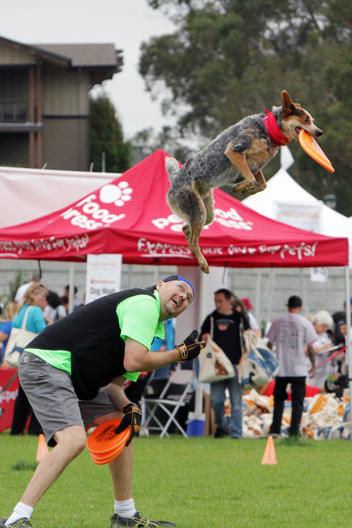 Napa Humane Walk for Animals 2017